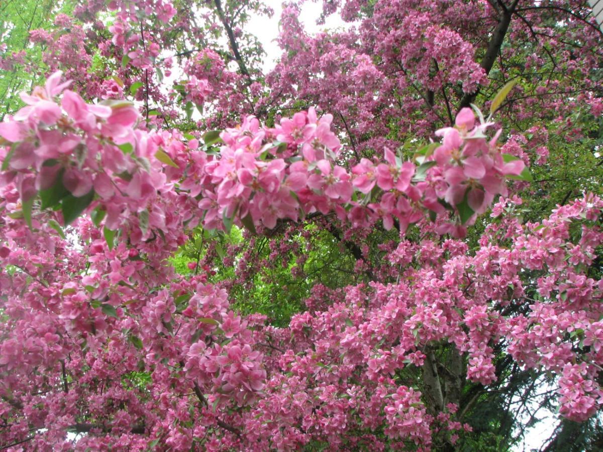 Magnolia B&B Гранби Экстерьер фото